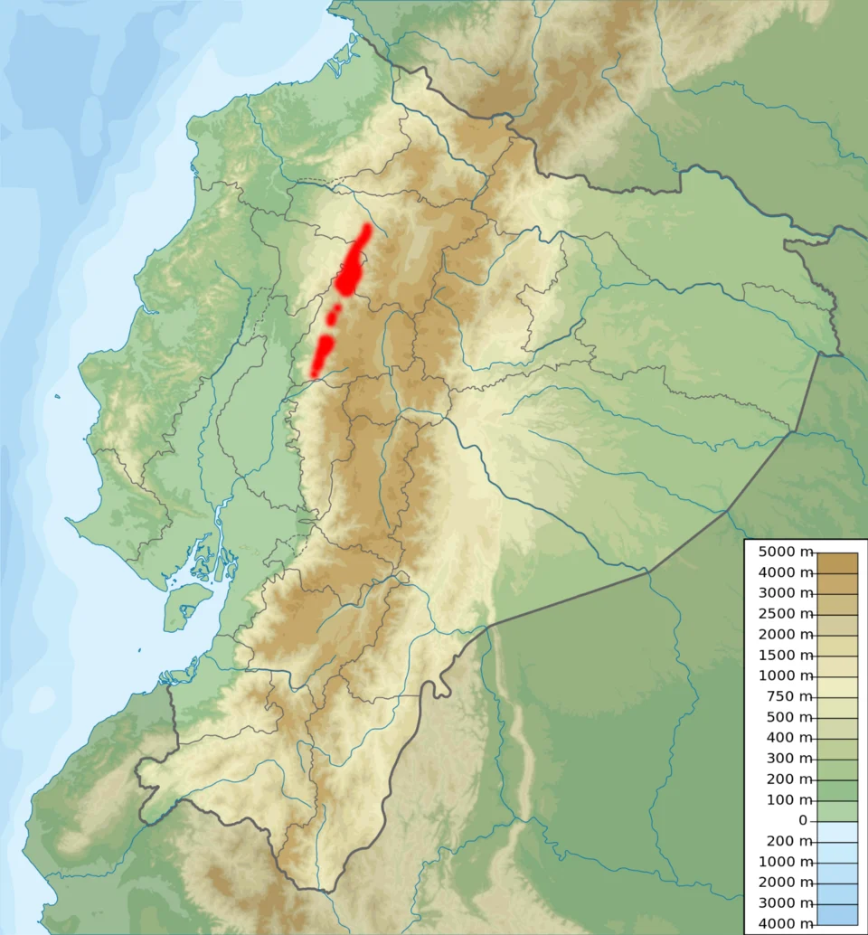 Ectopoglossus Confusus range map