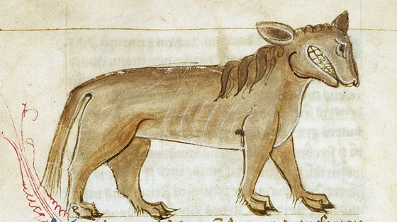 Leucrocotta