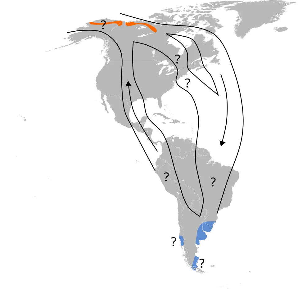 Nonbreeding  Breeding