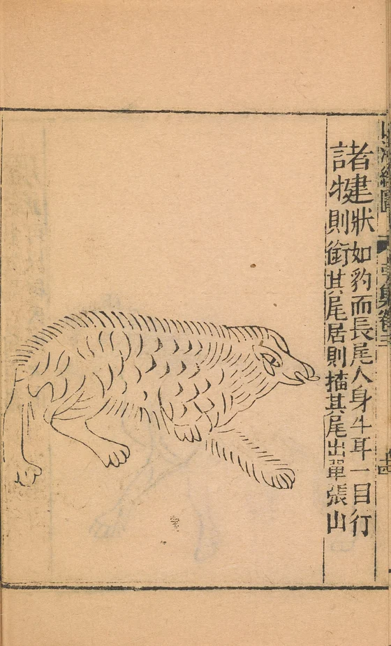 Zhujian of Mount Danzhang, anonymous1667 Shanhaijing illustration