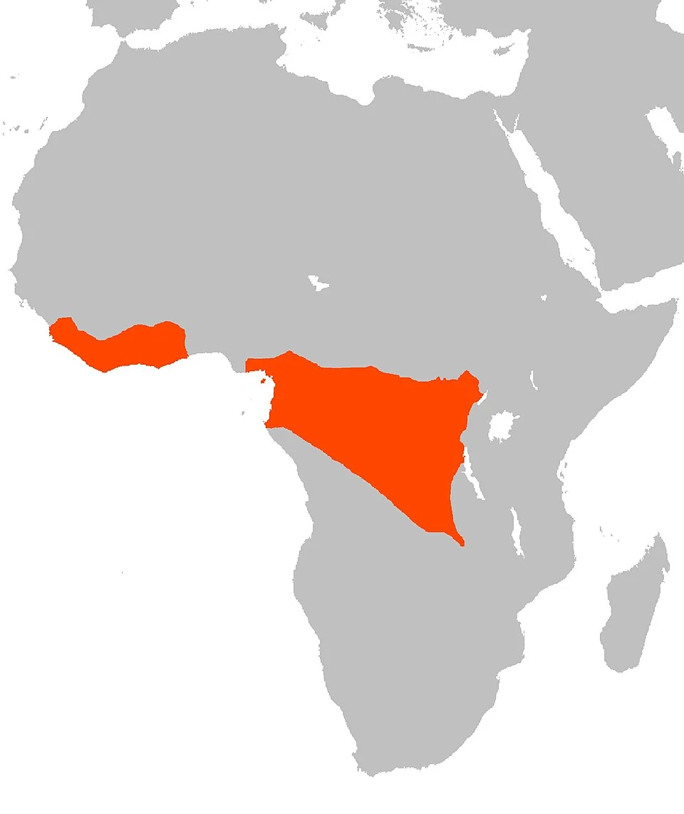 Graphiurus lorraineus Map