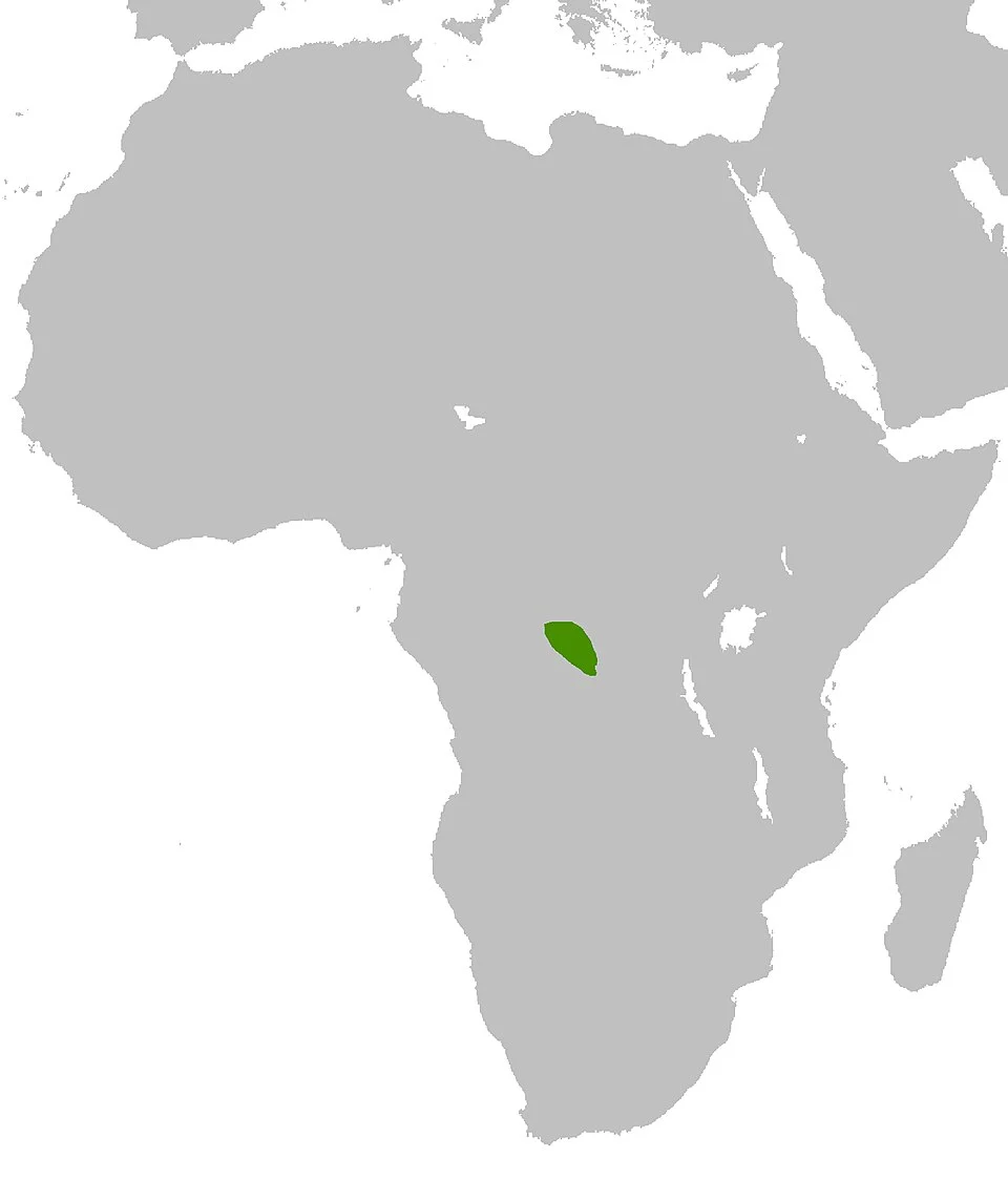 Graphiurus walterverheyeni Map