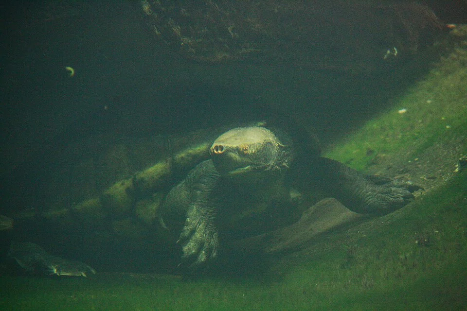 Zoo Praha