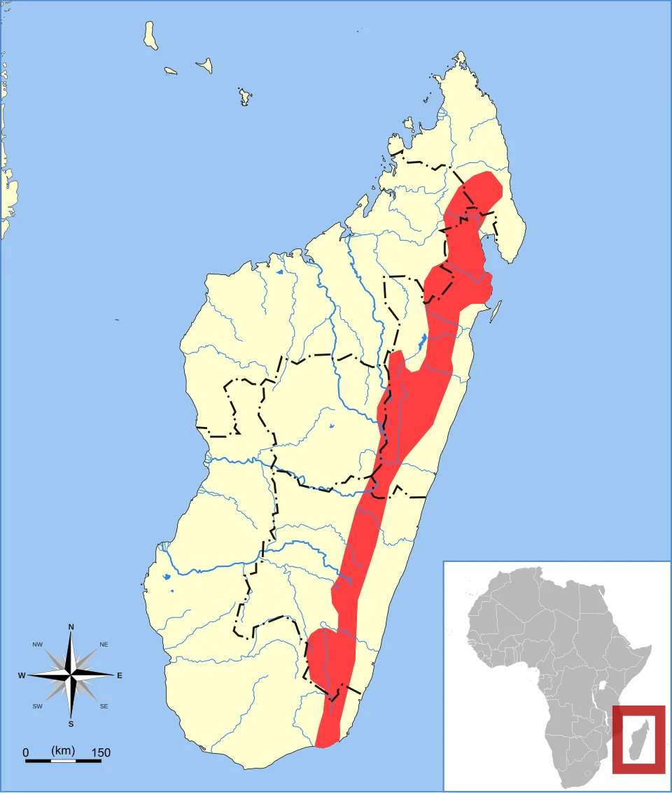 Greater Long-tailed Shrew Tenrec (Microgale principula) range
