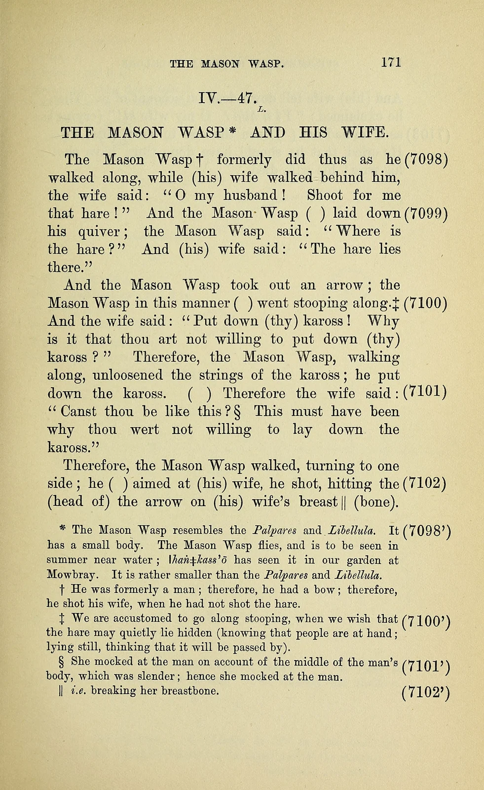 The Mason Wasp, page171, historical printed text witness; documentary source-page facsimile