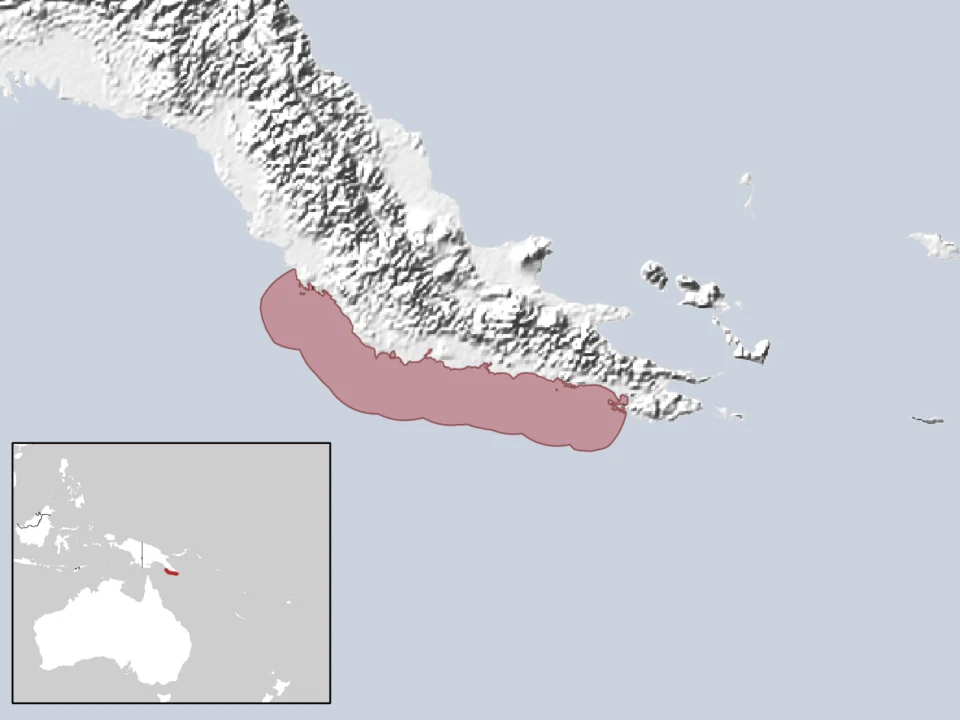 geographic distribution of Laticauda guineai