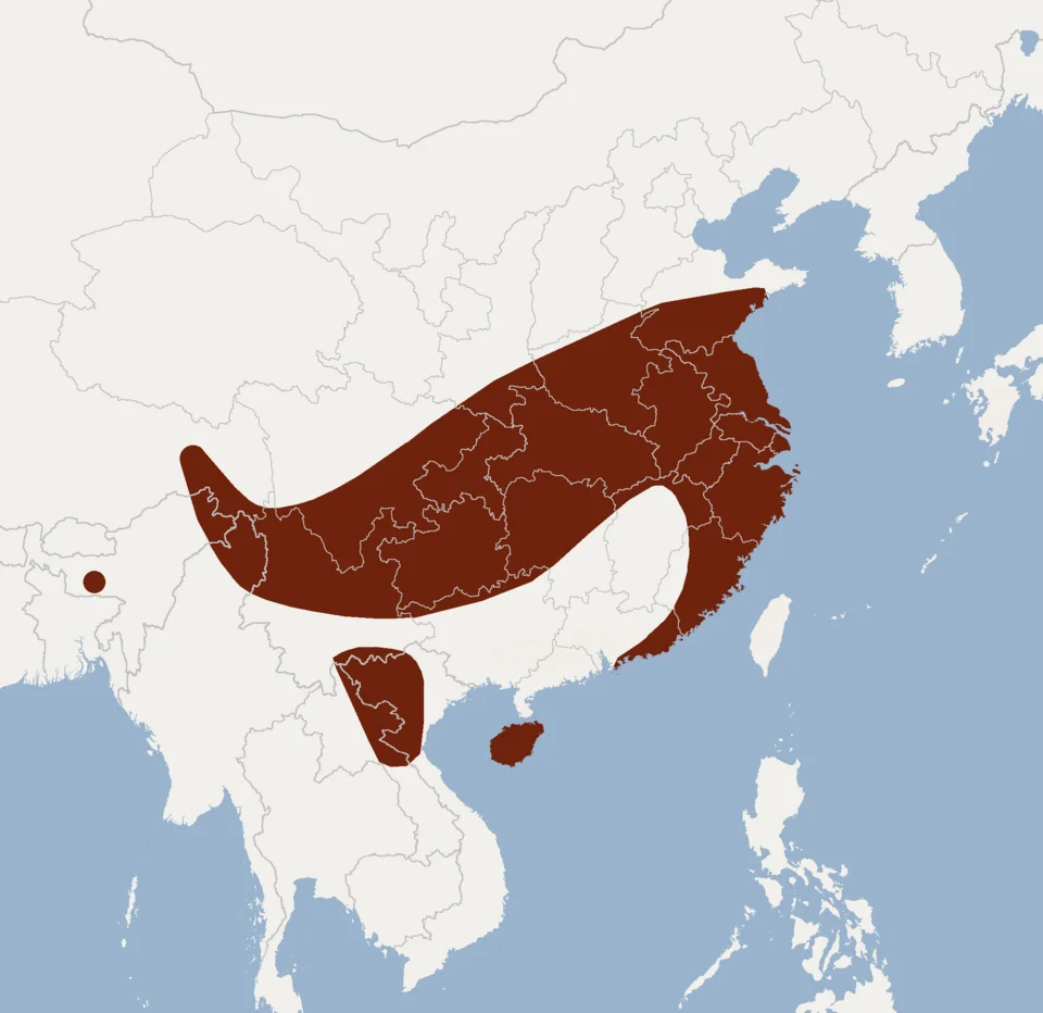 According to Smith & Xie, 2008, Francis, 2008 and Molur, 2002