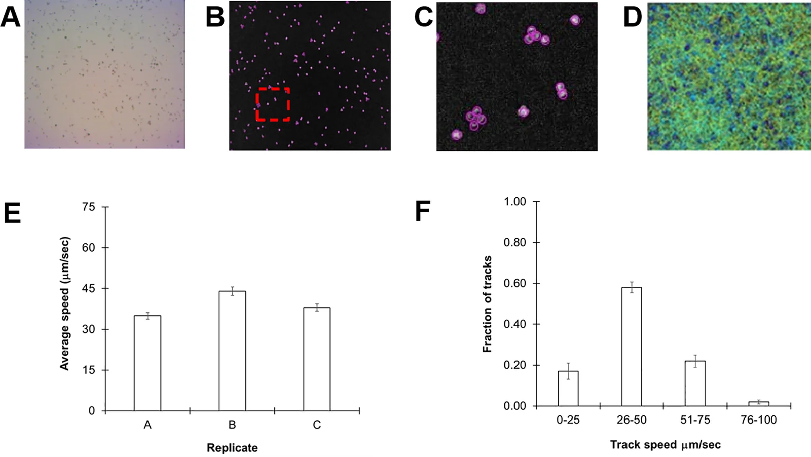 Chlamydomonas reinhardtii CC124 culture images, software cell tracking and motility measurements in Folcik and colleagues’ 2020 figure 1
