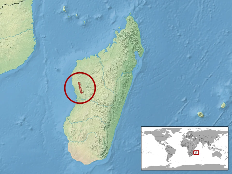 geographic distribution of Lygodactylus klemmeri (Native:
Madagascar)