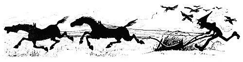 Batten: supernatural ploughman of Liddesdale