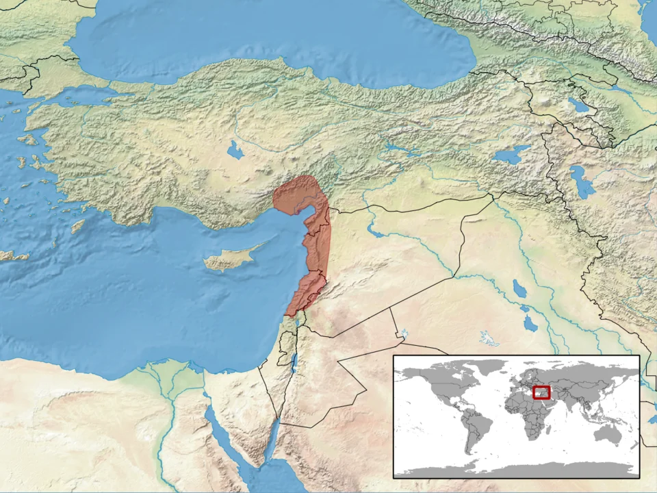 geographic distribution of Eirenis levantinus (Native: Israel; Lebanon; Syrian Arab Republic; Turkey)