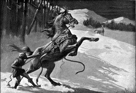 Svaðilfari