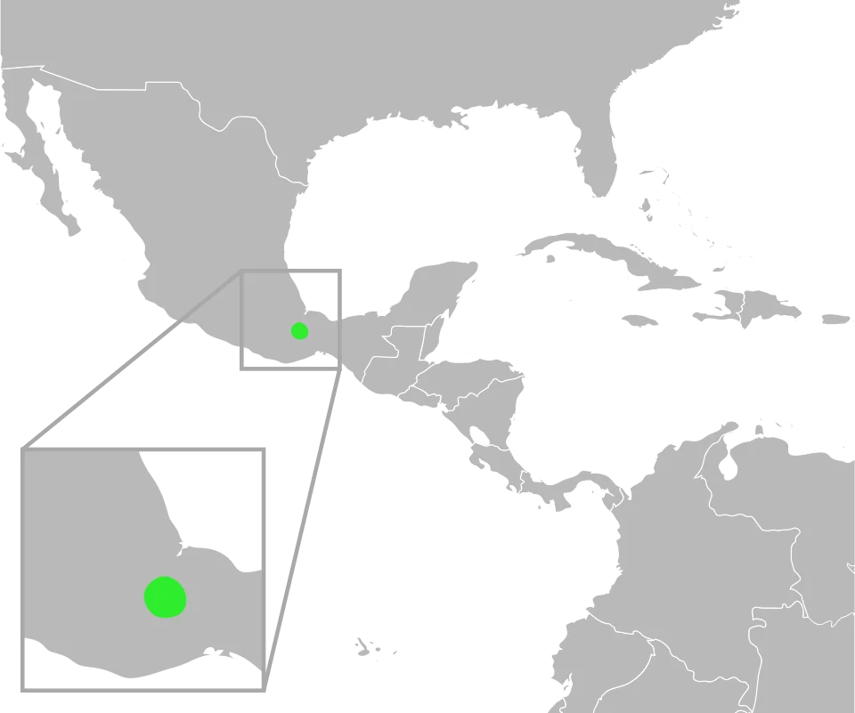 The distribution of Bufo spiculatus. Data from Mulcahy, D.; Williams, T.; Mendelson, III, J; and Sites, J. (2008) "Phylogenetic Relationships Among Mesoamerican Bufonids." Poster presented at the 2009 Joint Meeting of the American Society of Ichthyologists and Herpetologists. Abstract available here, p. 58.
